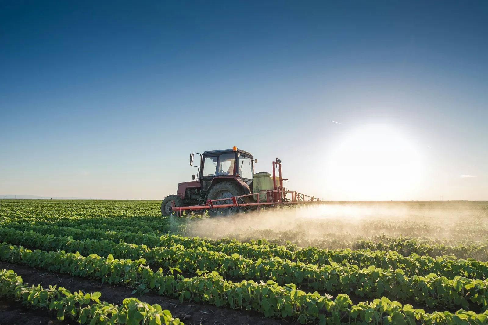 Agriculture